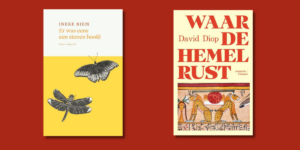 Er was eens een stenen hoofd van Ineke Riem en Waar de hemel rust van David Diop